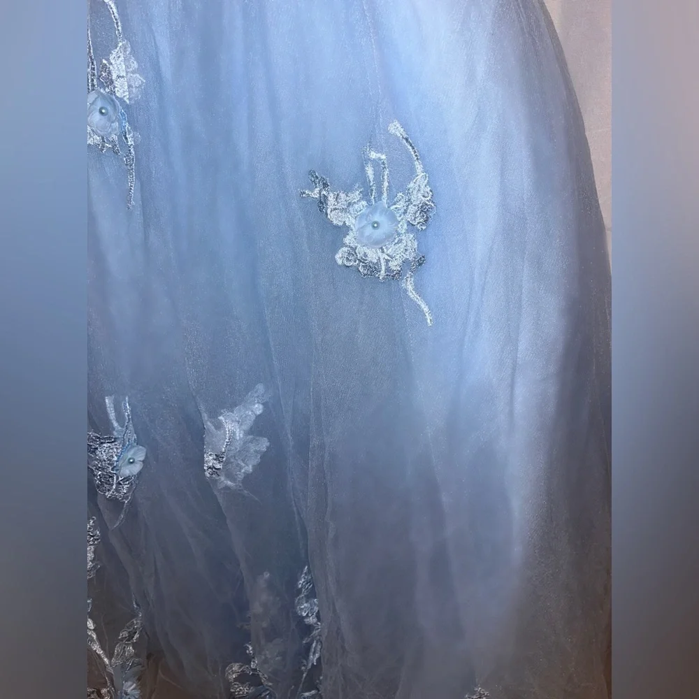 Cinderella Themed Size 14 Prom and Special Occasion Dress - Picture 7 of 7